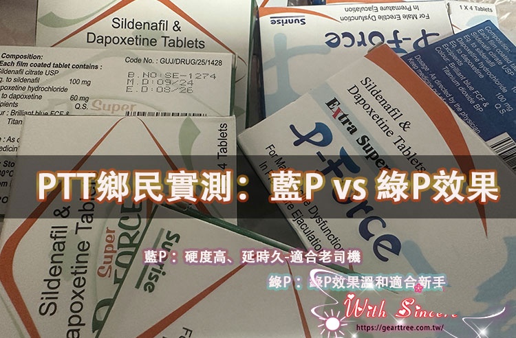 PTT鄉民實測：藍P vs 綠P效果全面比較 副本